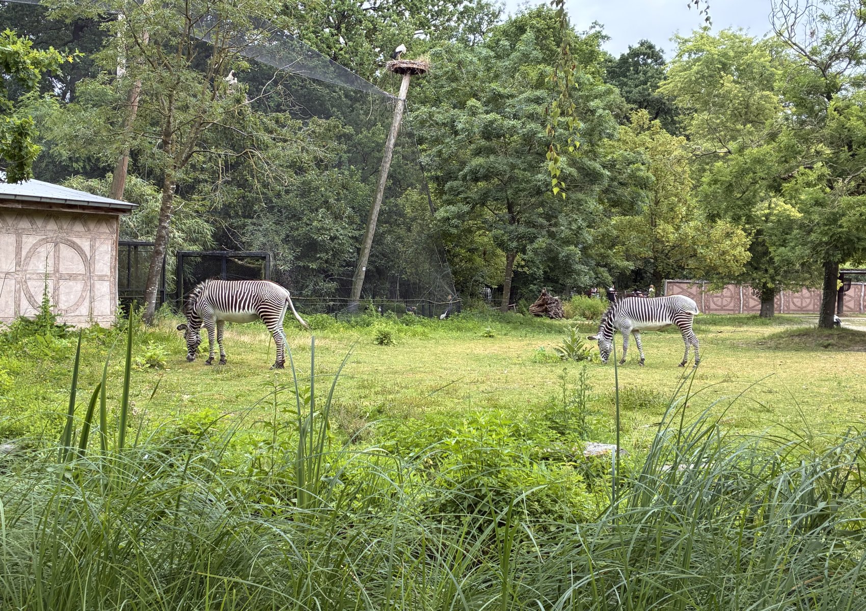 image 92